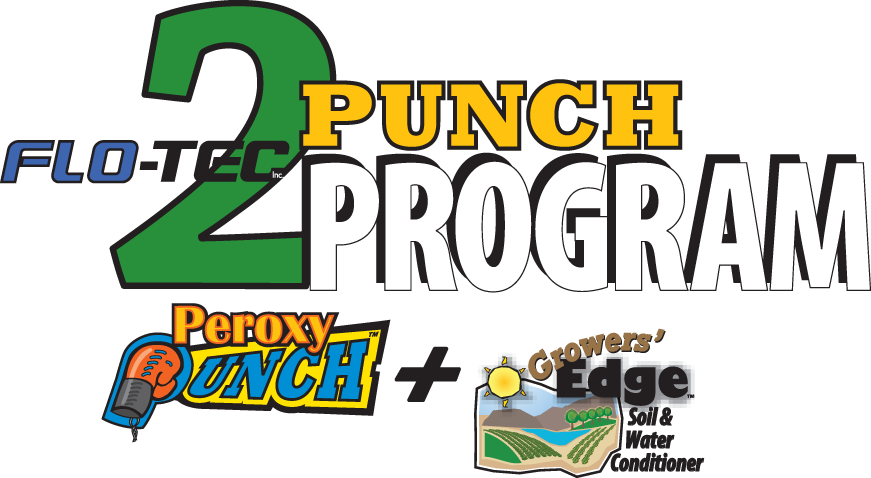2 Punch Program